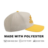 Pokemon Pikachu Electric Type Curved Bill Snapback