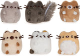 Pusheen Comic Collector Set of 6