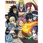 Fairy Tail Season 7 Guild Heroes Group Sublimation Throw Blanket