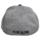My Hero Academia UA Flex Fit Hat